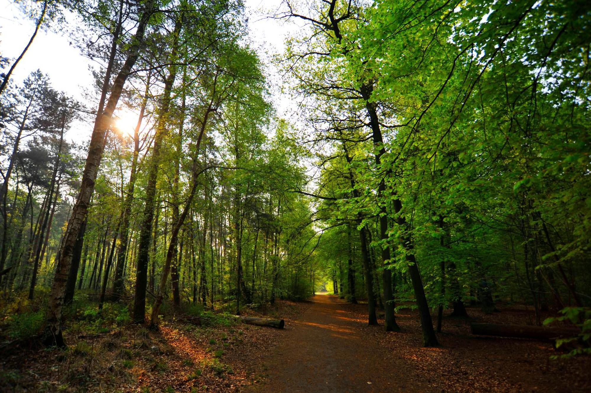 Parkhotel Mastbosch Бреда Екстер'єр фото