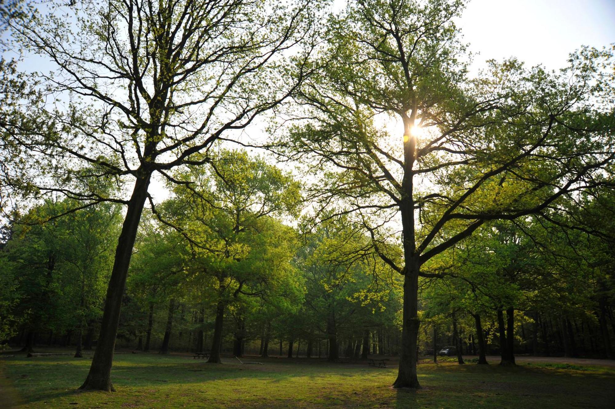 Parkhotel Mastbosch Бреда Екстер'єр фото